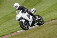 Lower Group White Bikes